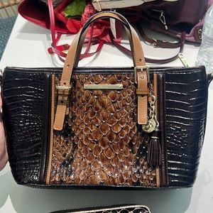 Brahmin purse and wallet